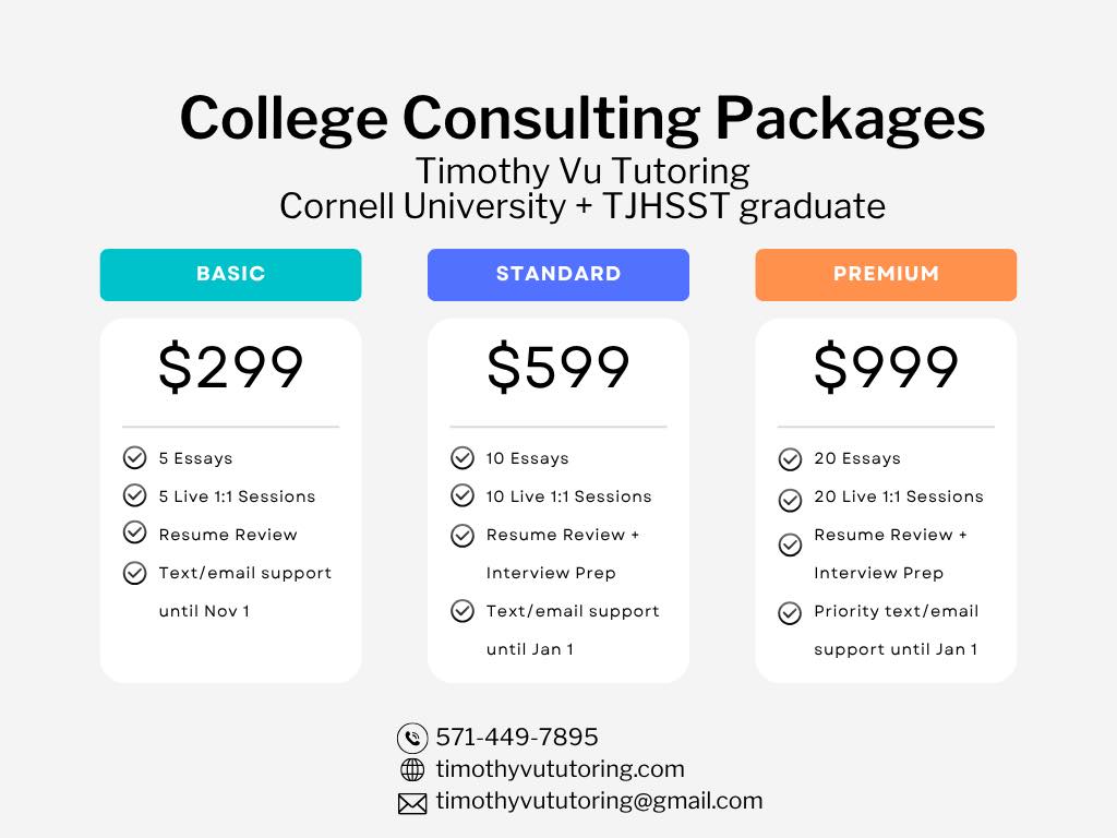 Consulting Packages